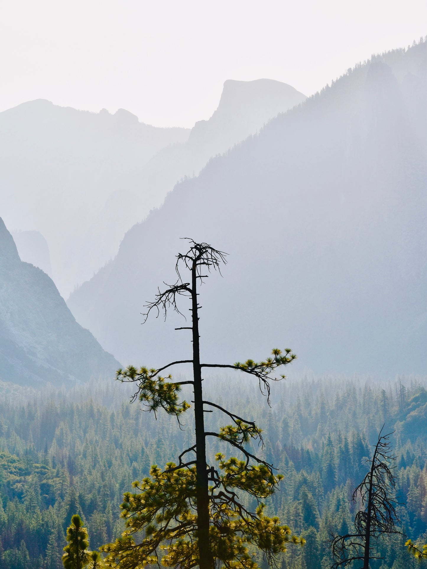 Simplistic serenity