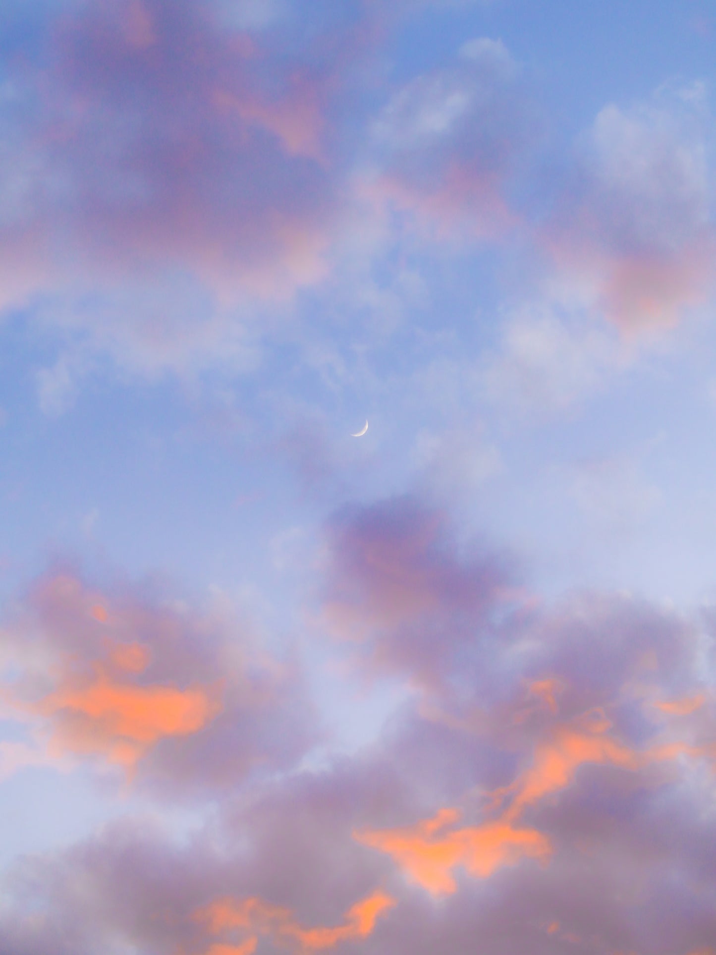 Luna Madrileña