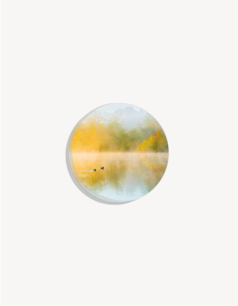 Abstract shapes