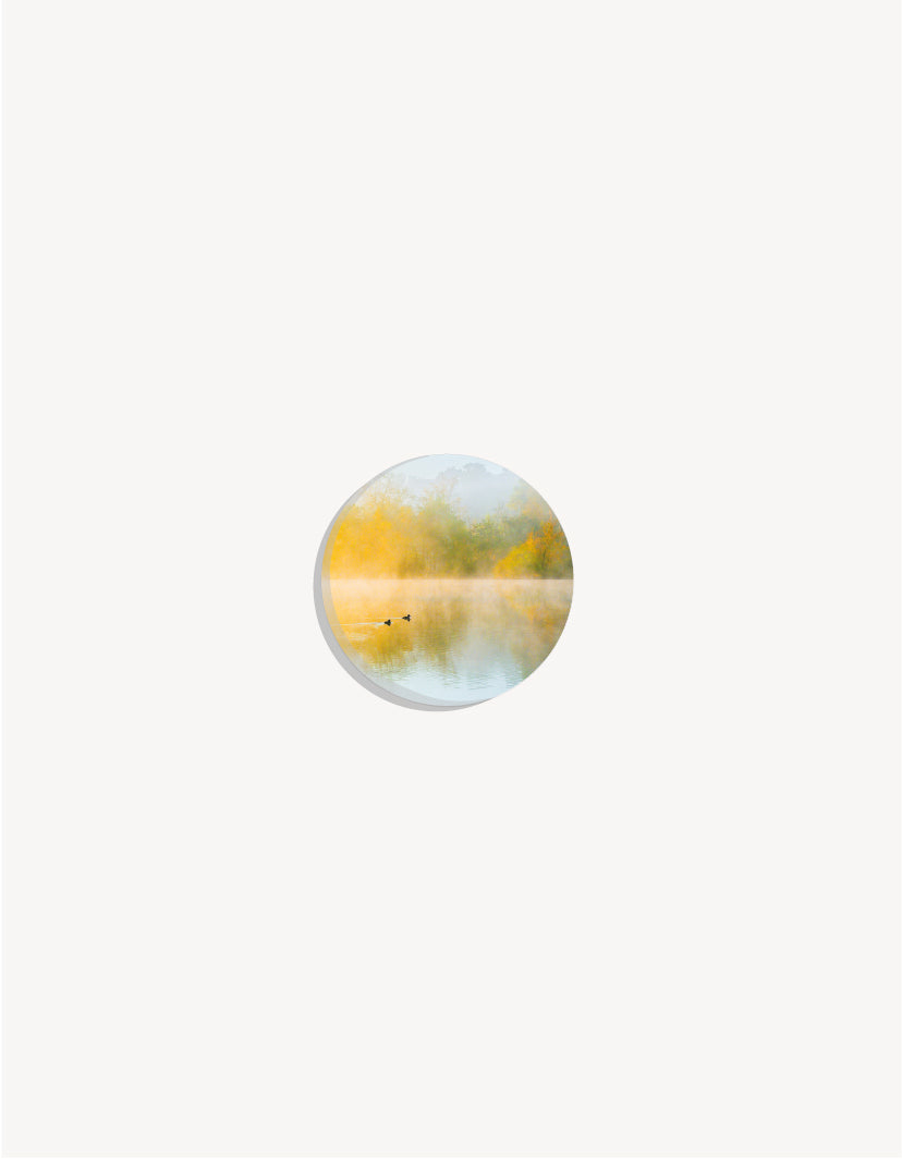 Abstract shapes