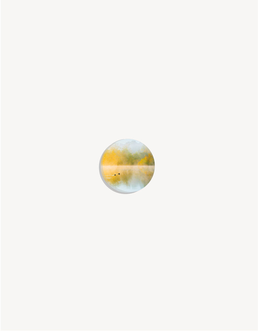 Abstract shapes