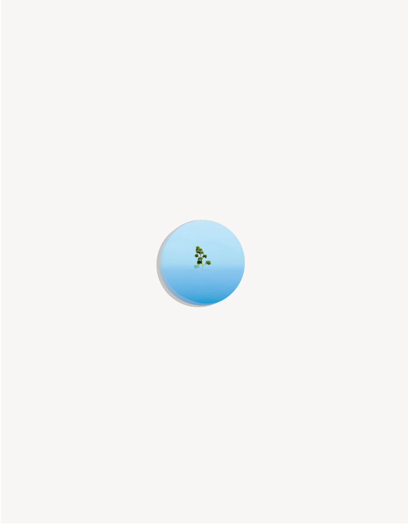 Abstract shapes