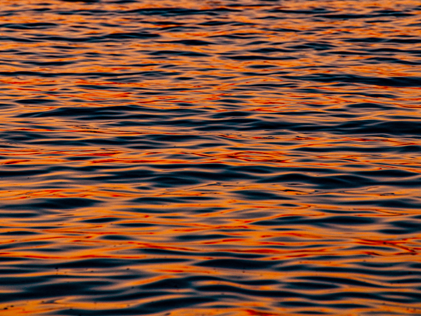 Feral water