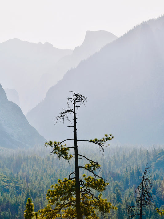 Simplistic serenity