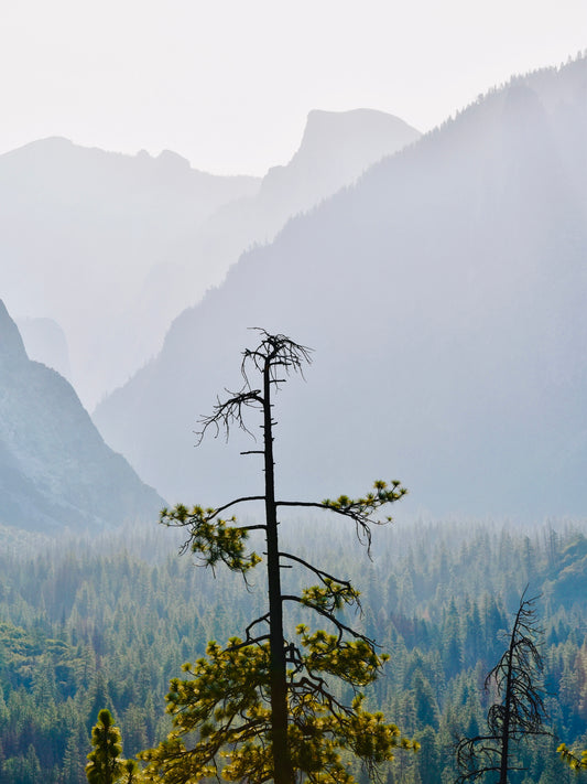 Simplistic serenity